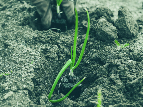 Gwarancja Agromax 2026: jak działa i kto może z niej skorzystać