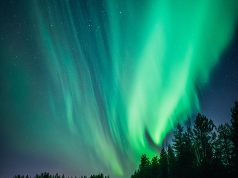 Fundusze Norweskie dla MŚP 2026: granty na zielone inwestycje 