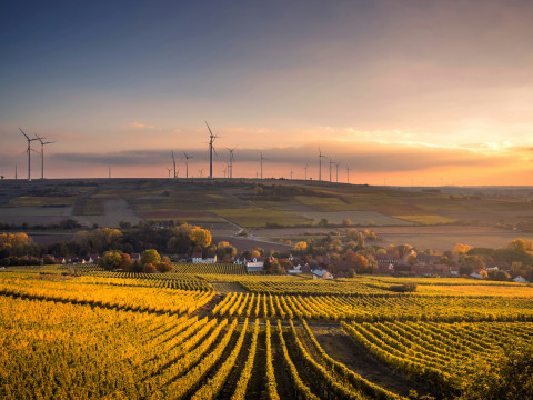 Energia dla Wsi 2026: dotacje i pożyczki na OZE dla rolników i spółdzielni energetycznych