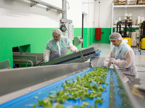 FENG – Fundusze Europejskie dla Nowoczesnej Gospodarki: kompletny przewodnik dla firm produkcyjnych