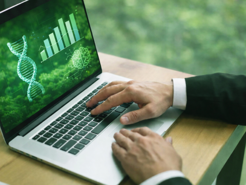 Polska Strefa Inwestycji i Specjalne Strefy Ekonomiczne